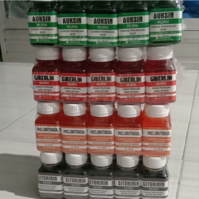 Hormon giberelin zpt buah zat kemasan 60ml