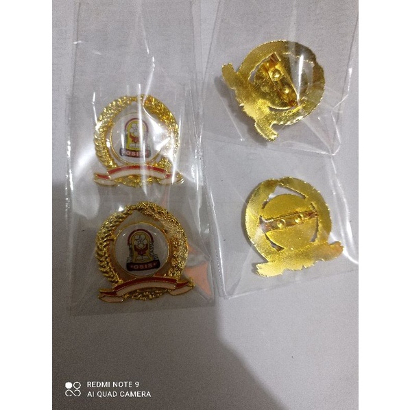 pin osis