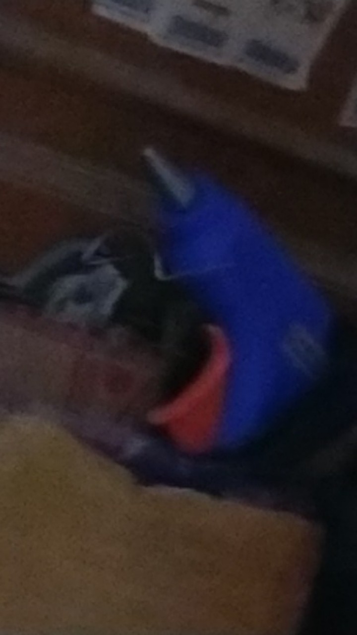 Glue Gun 20 Watt Alat Perekat Lem Lilin Lem Bakar Hot Melt Glue Gun 20w Model Ada Saklar On Off