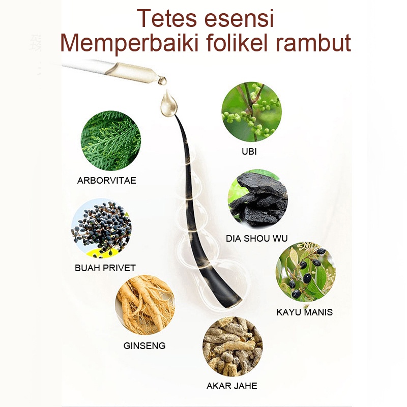 【O'RANNLE】Ekstrak Jahe Murni Mengentalkan Rambut Bayi dan Dewasa, Jenggot, Kumis, Jenggot, Alis Vitamin jahe rambut  Vitamin rambut Pertumbuhan rambut  Musuh botak   Cairan penumbuh rambut  Cairan pertumbuhan