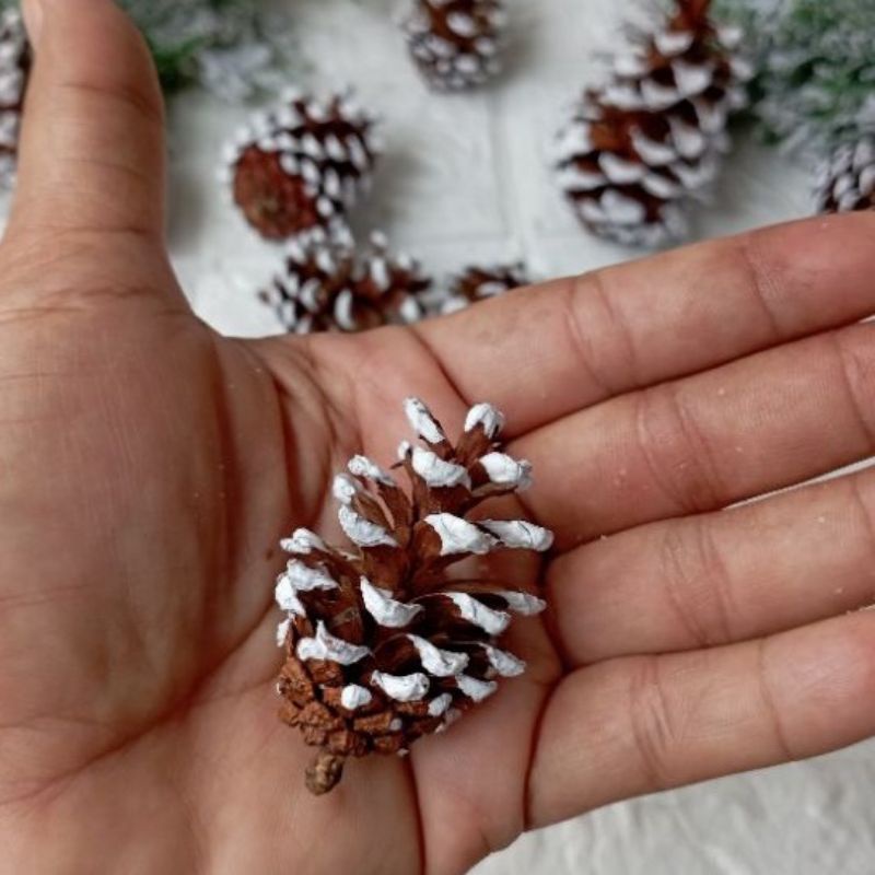 1 PCs Buah Pinus Kecil Salju atau Vernis Dengan Tali Dekorasi Hiasan Pohon Natal Christmas Assesoris Proferty Photo Booth