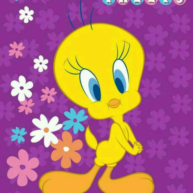 Selimut Internal 160x200 Tweety