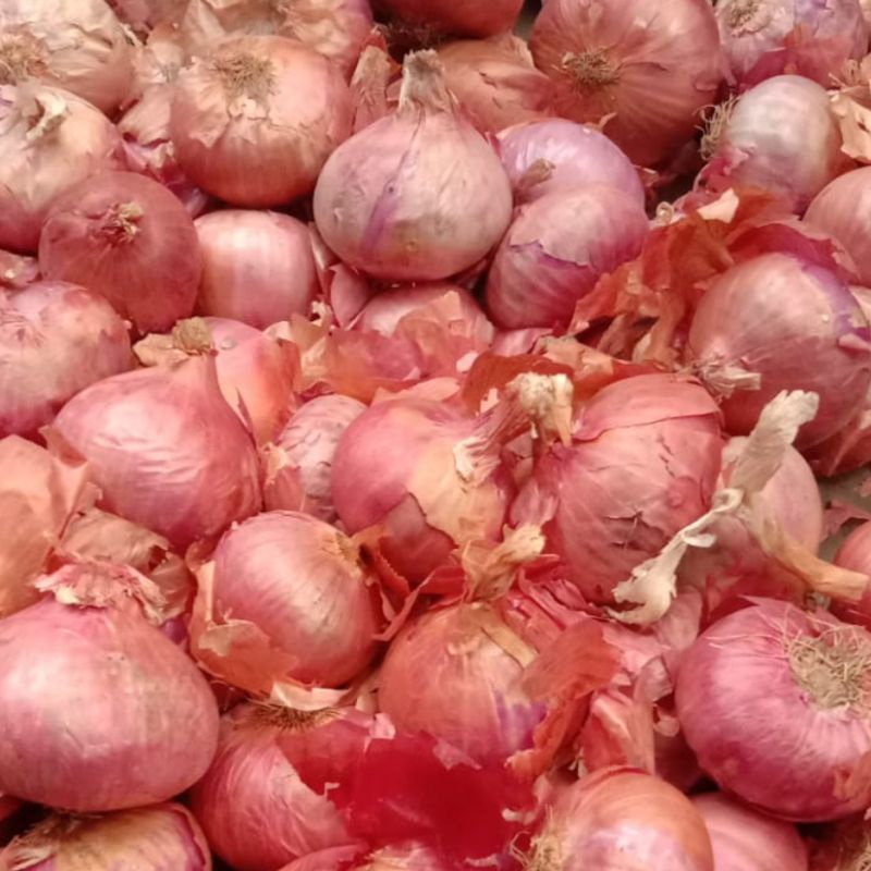 

BAWANG MERAH INDIA/PEKING (1kg)
