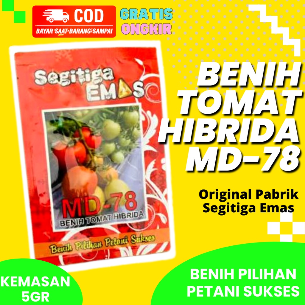 Benih Tomat MD-78 Bibit Tomat MD78 Benih Tomat Hibrida Tomato Seed Original Pabrik Segitiga Emas Kem