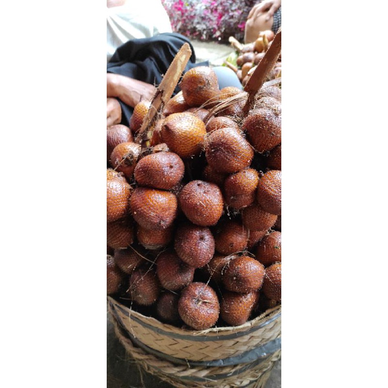 

Salak Nangka atau salak porong