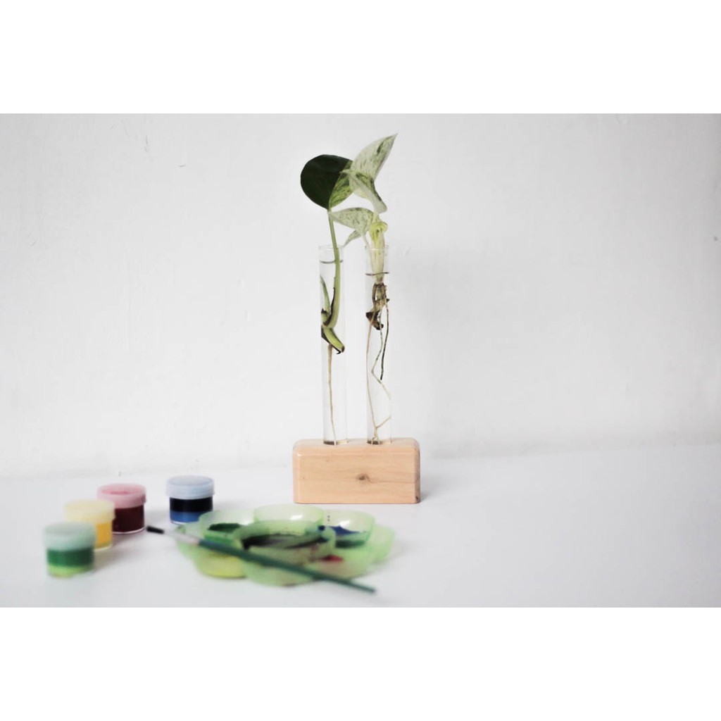 Vas Bunga Kayu Air Propagasi Vas Kaca Propagasi Vas Water Propagation Wadah Tabung Reaksi