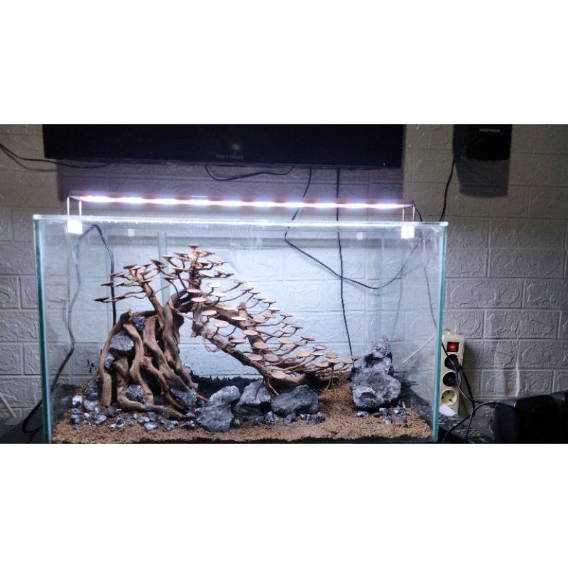 BONSAI AQUASCAPE || HARDSCAPE BONSAI AQUASCAPE