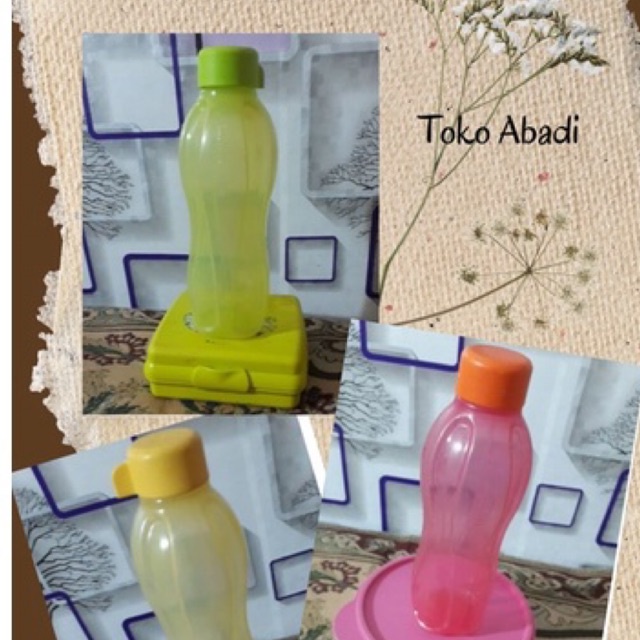 PAKET TEMPAT BEKAL TANPA SEKAT MEDIUM DAN ECCO BOTOL 500 ML tupperware tuppy tw second preloved pl b
