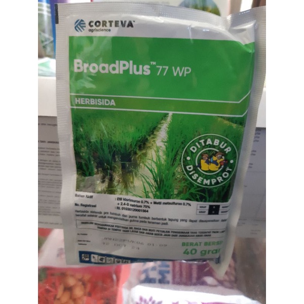 Broadplus