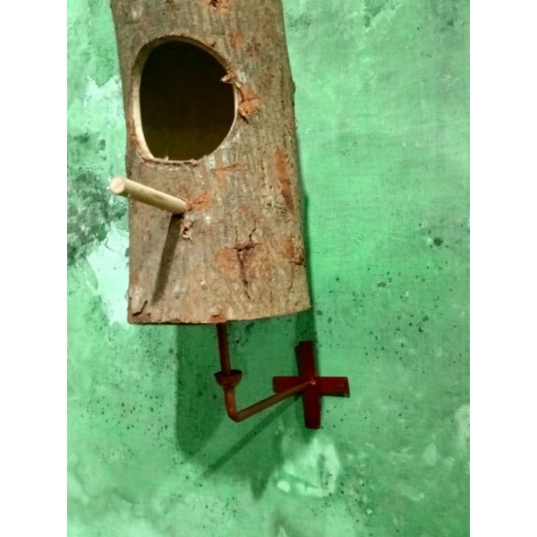 Glodok Pohon Murai Lovebird Anti Semut Free Baut Fisher