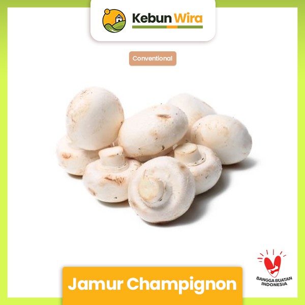 

Jamur Champignon