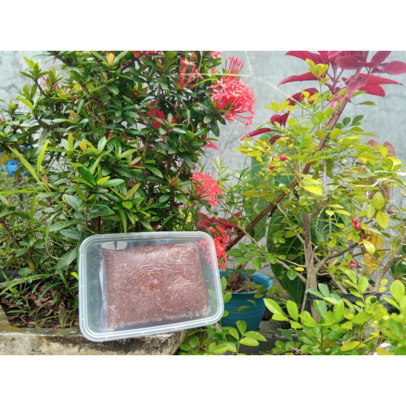 

SAMBAL KACANG KHAS MADIUN MAGETAN 1500 GRAM