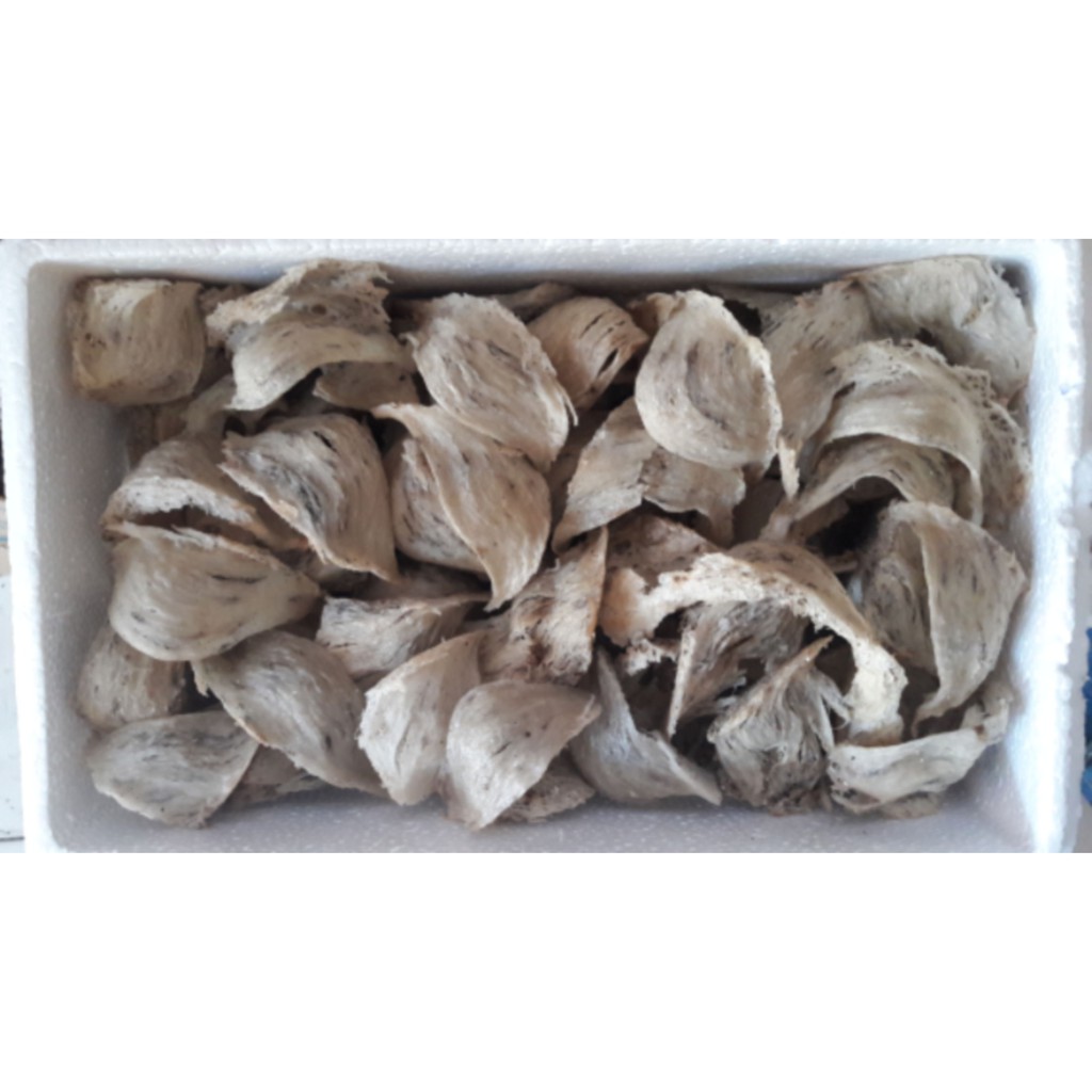 sarang burung walet kualitas super