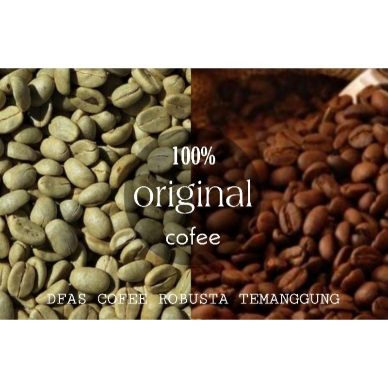 

biji kopi robusta