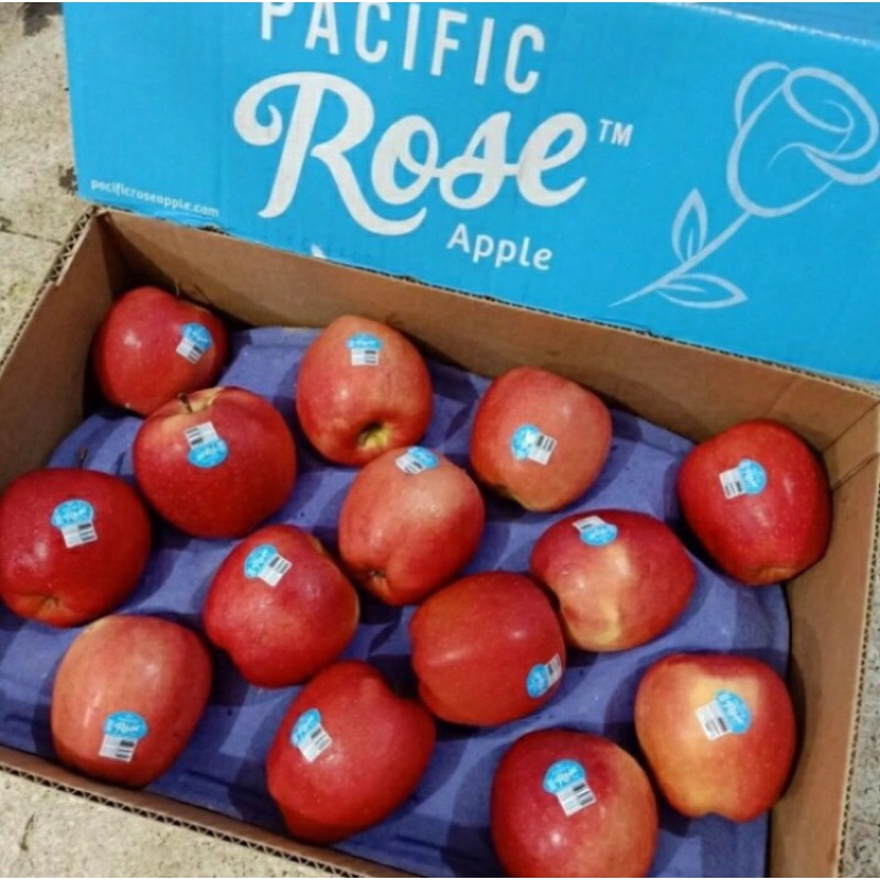 

Buah Apel Pacific Rose USA Apple Fresh Import / 1 Dus
