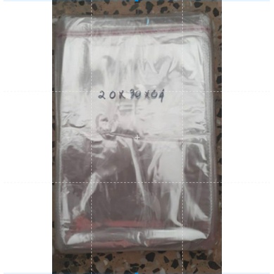 OPP 20x30 25 Micron Isi 100