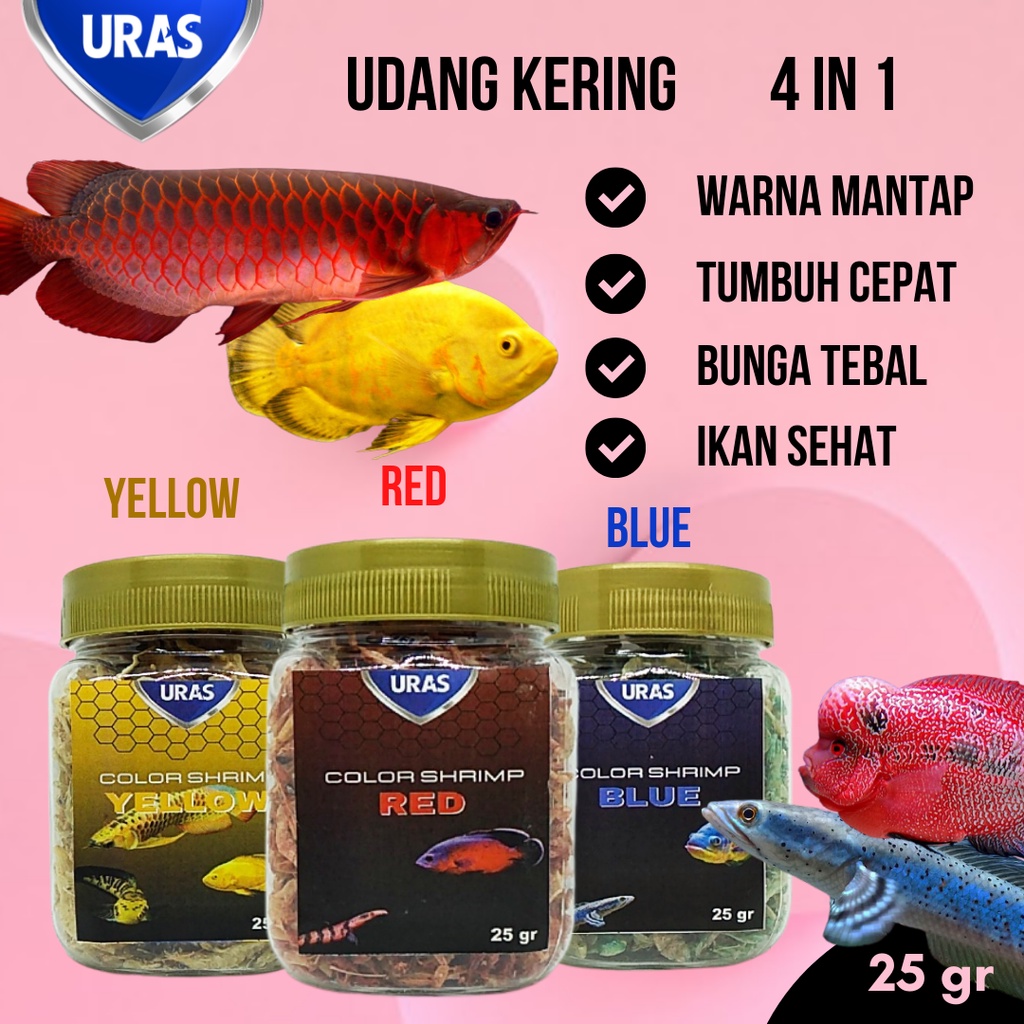Udang Kering Pakan Ikan Channa Maru Yellow Sentarum Auranti Limbata Pulchra Oscar Tiger Batik Albino