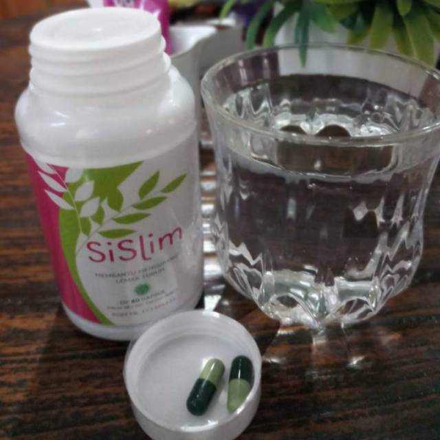 PELANGSING ALAMI SISLIM