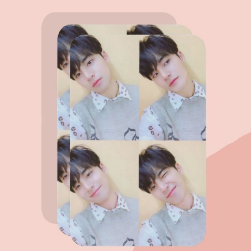 Photocard Mingyu Seventeen Unofficial