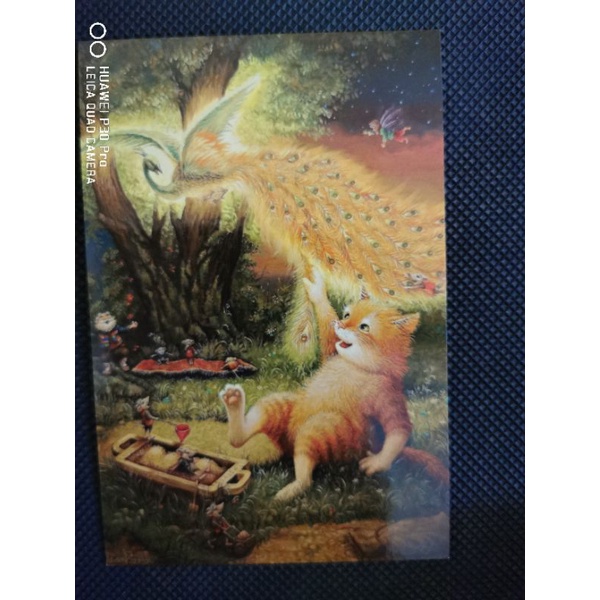 

kartu pos kucing/cat postcard