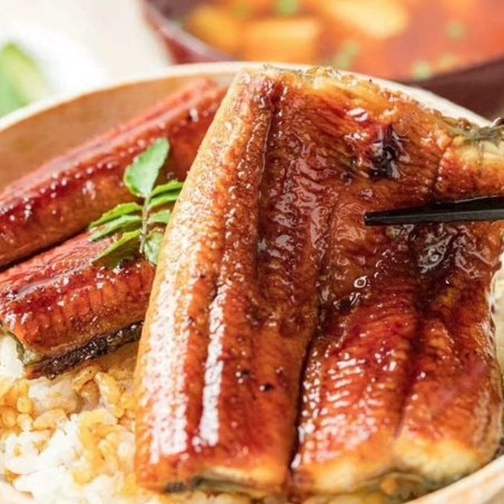 

Best Seller - Unagi Kabayaki 200Gr