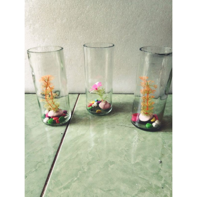 Soliter tabung kaca - Soliter kaca - Aquarium mini - Botol cutting