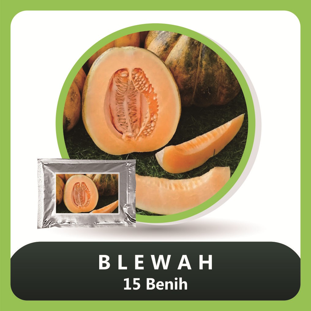 Benih Bibit Blewah - 15 Benih