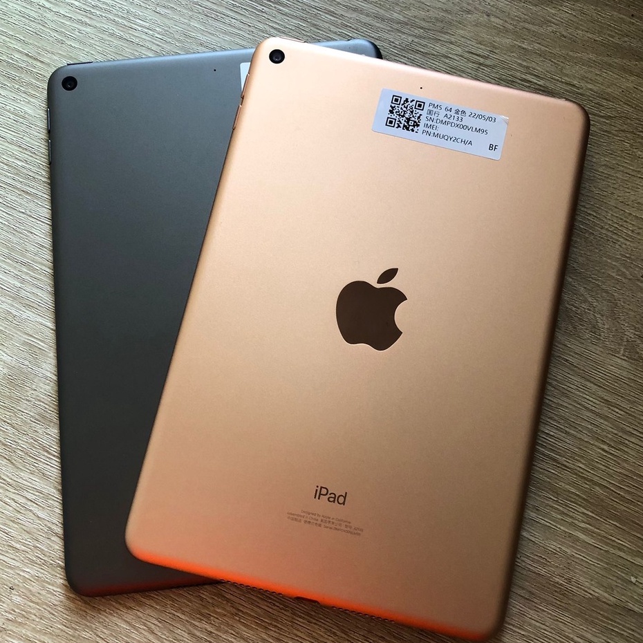 iPad Mini 5 Wi-fi Only 64GB Mulus - Second