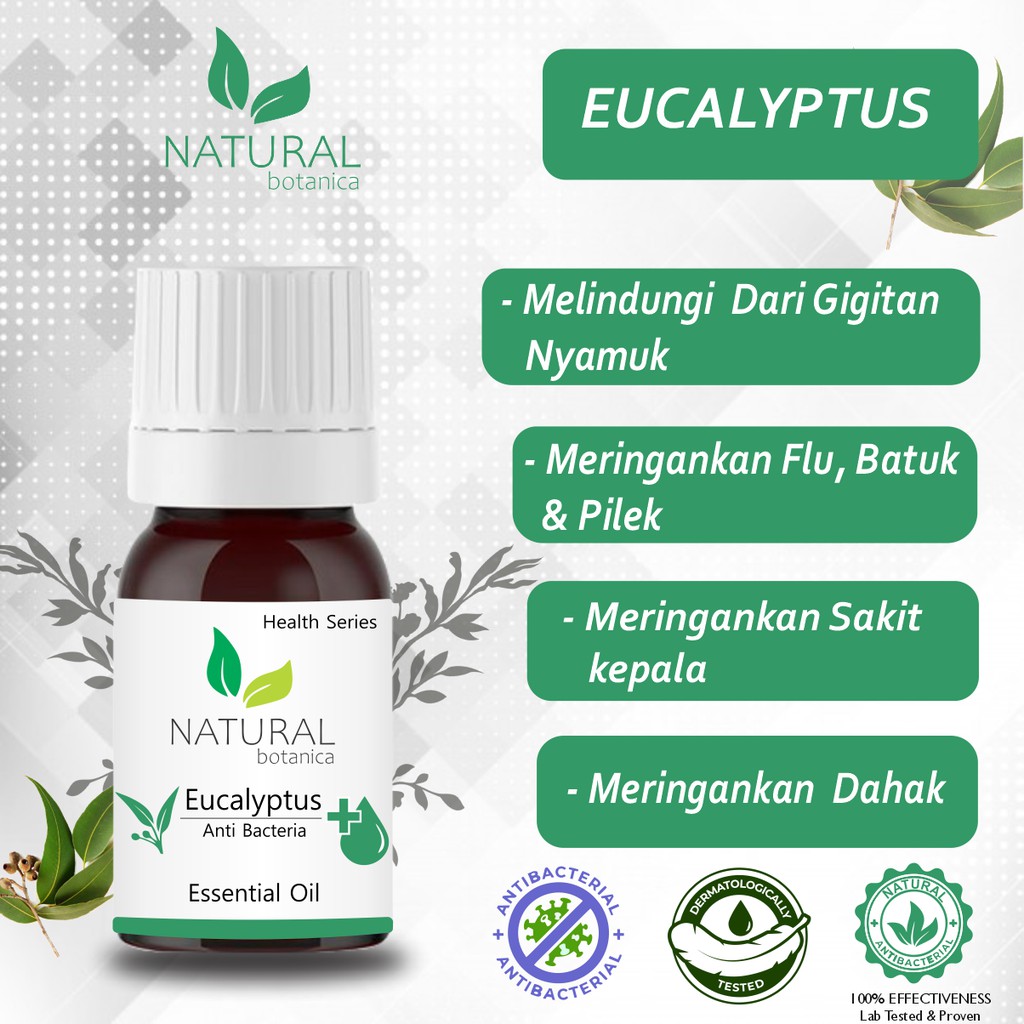 Natural Botanica Eucalyptus Essential Oil Pure Minyak Esensial Aroma Terapi Diffuser Humidifier