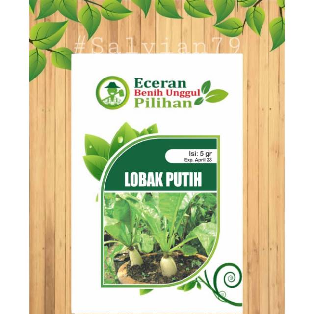 benih lobak putih