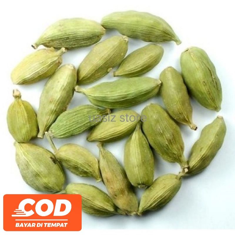 kapulaga india biji kusus semai (green cardamom)