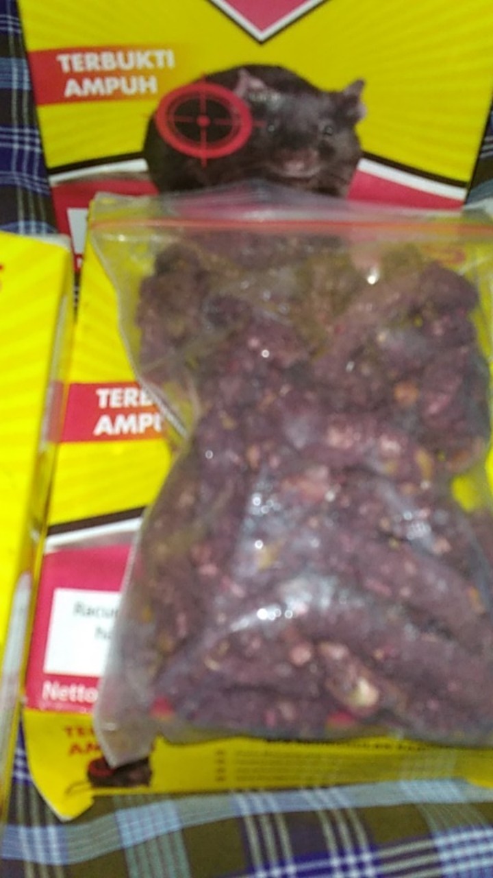 Ramtus Obat Racun Tikus Langsung Mati Kering Tidak Bau Sangat Ampuh Racun Pembasmi Tikus 6 Pack