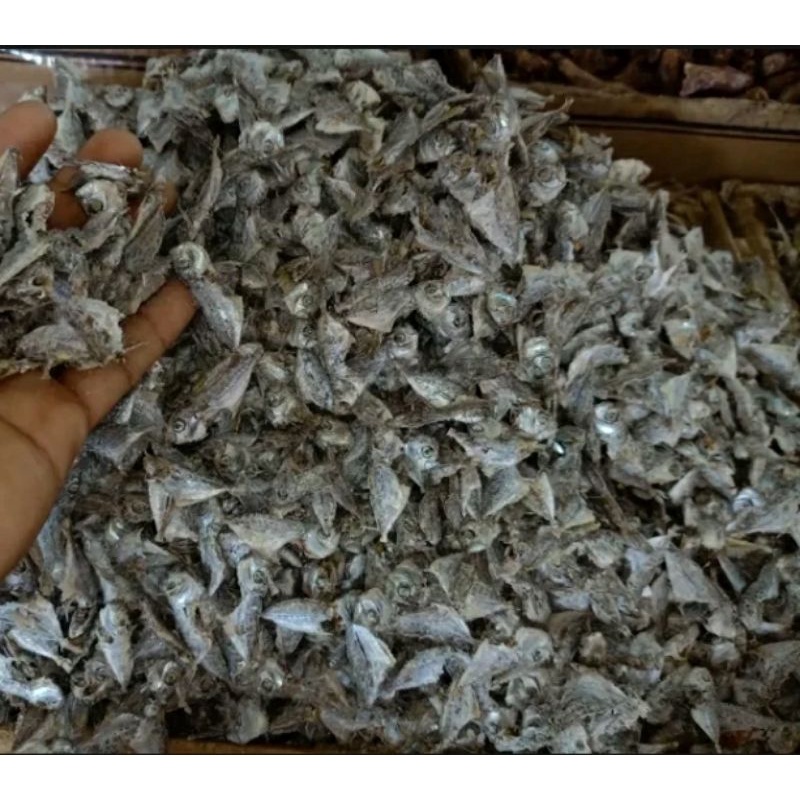 

Ikan Asin Ikan Petek Kering Super - 500 Gram