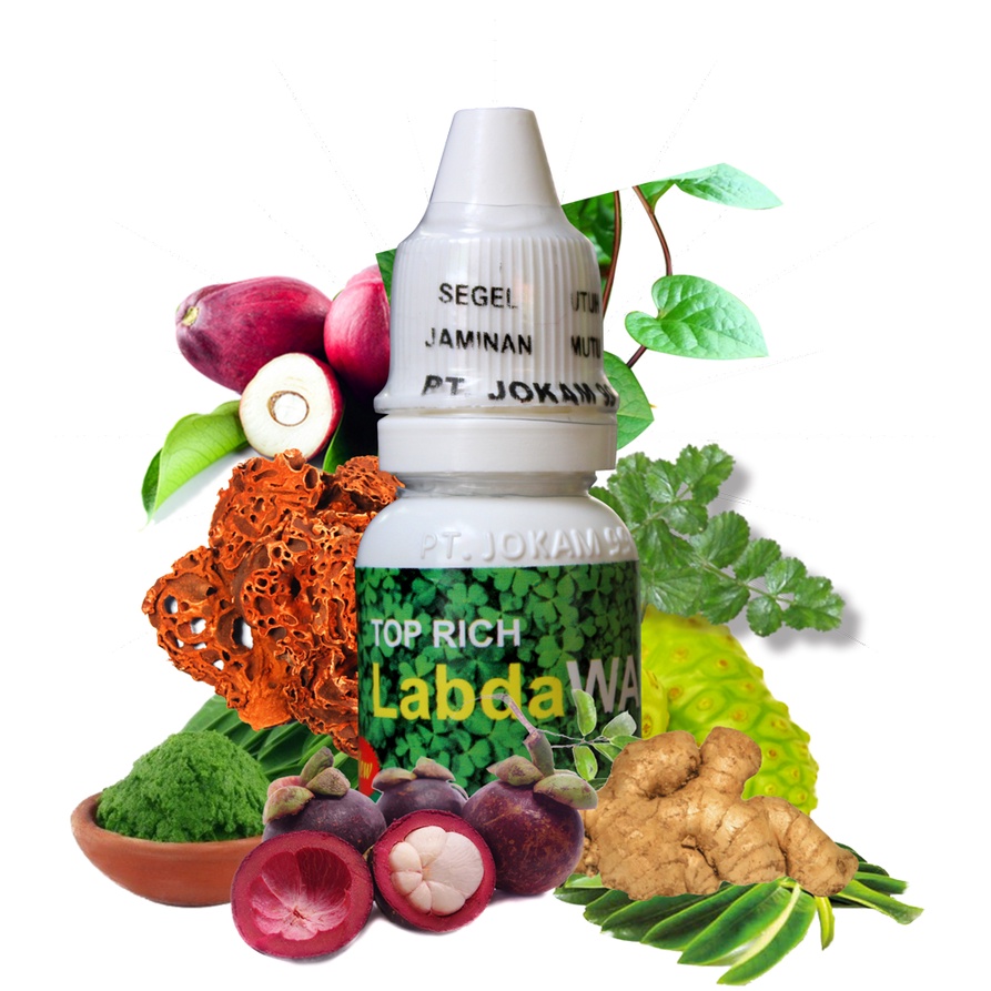 

Jamu Tetes labdawara Herbal Multi Fungsi Obat Herbal Struk Obat Herbar Diabetes