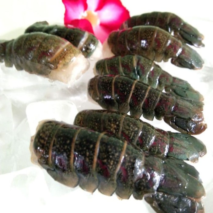 

Lobster Tail (ekor)
