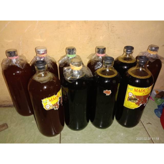 

Madu hutan tawon Gong/Klanceng asli