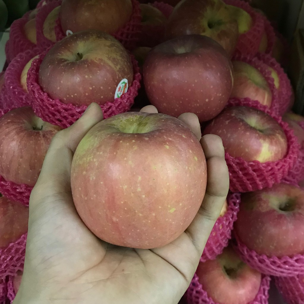 

Buah Apel Fuji Manis dan Garing - Harga Termurah Dipasaran