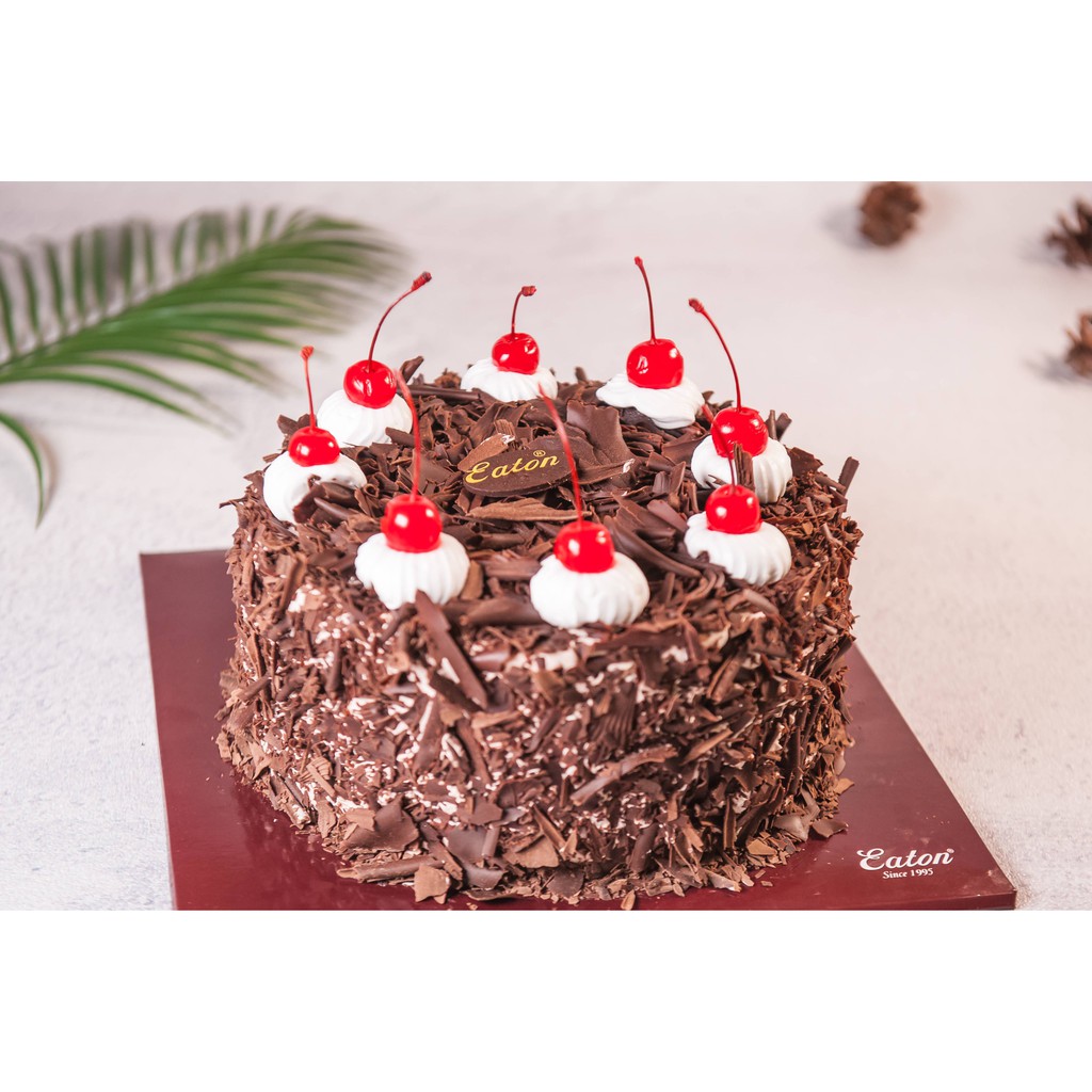 

Black Forest - Birthday Cake