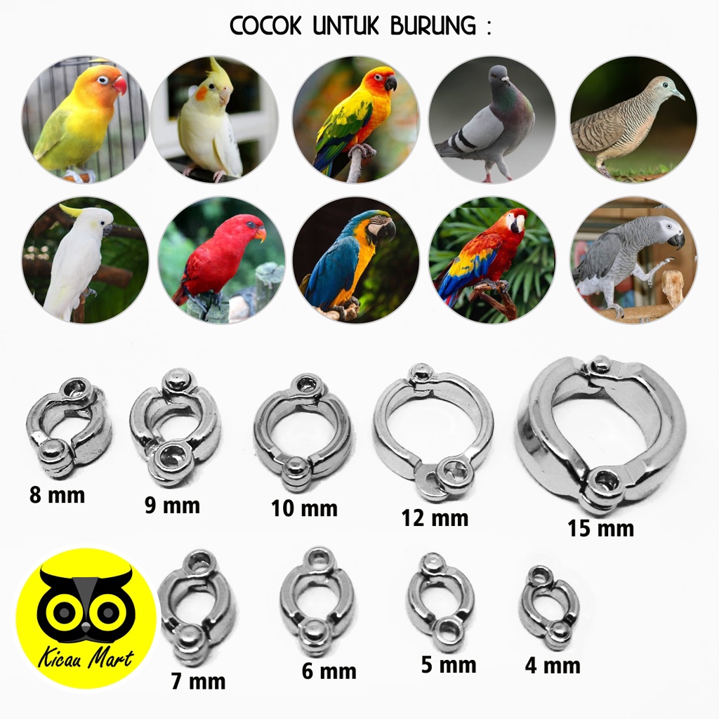 RING KAKIBURUNG STAINLESS STEEL IMPORT 12 MM RING BEO KAKAK TUA BAYAN AFRICAN GREY PARROT RCG12M