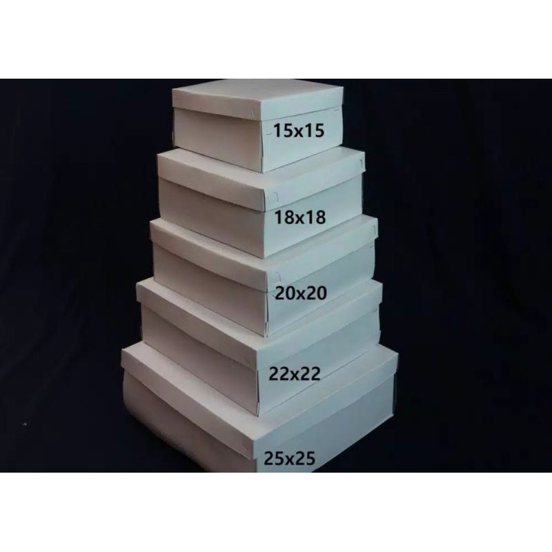 Box atau kotak nasi putih polos ukuran 20 x 20