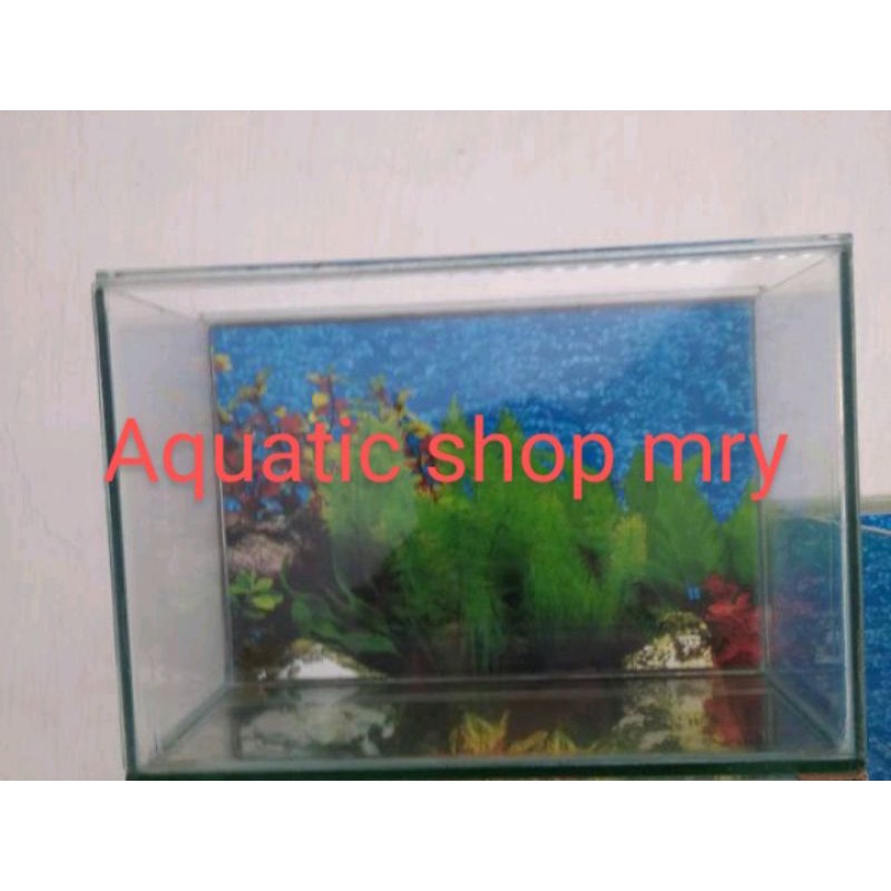 Aquarium 35x20x25 background