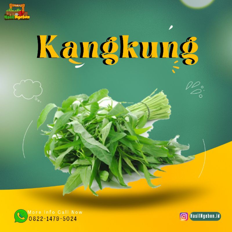 

KANGKUNG 1IKAT