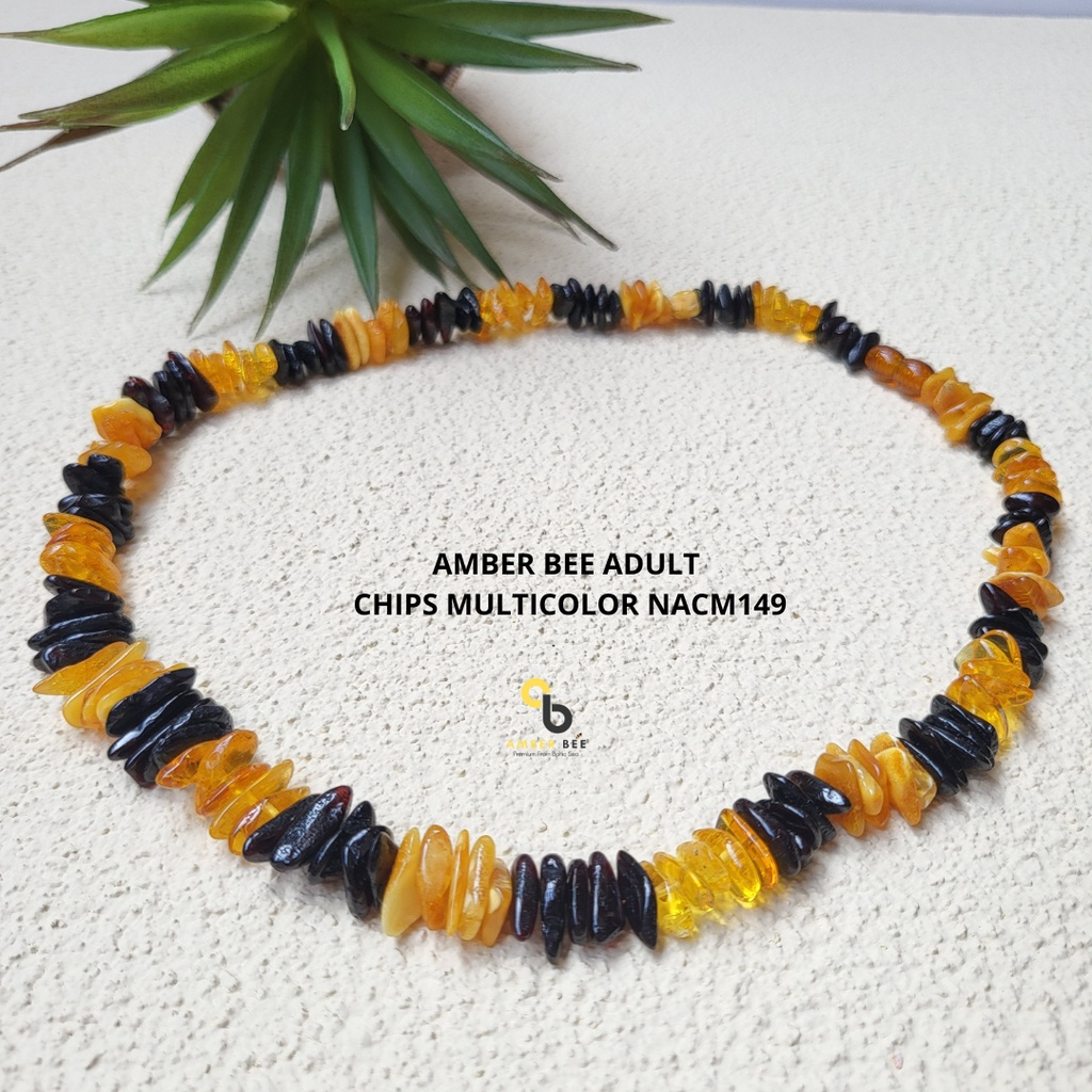 Kalung Amber Dewasa Premium Glossy Chips ANGCM149 By Amber Bee