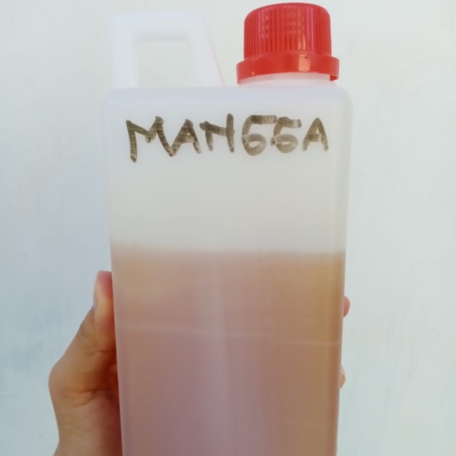 

MADU MANGGA KEMASAN 1 KG