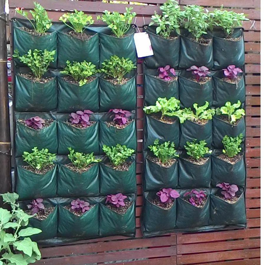 READY _ ISI Pot Tanaman Pot Bunga Wall Planter Bag Dinding Planterbag Polybag Tanaman Pot Dinding