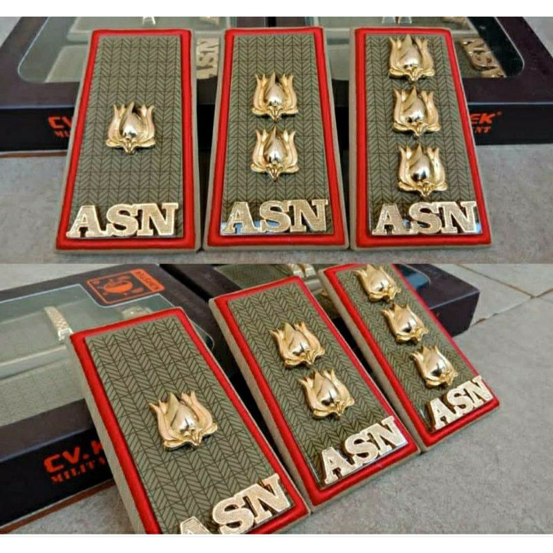 PANGKAT ASN SUMSEL 3D - PANGKAT ASN SUMSEL 4A - PANGKAT ASN SUMSEL 4B | PANGKAT ASN SUMATRA SELATAN 
