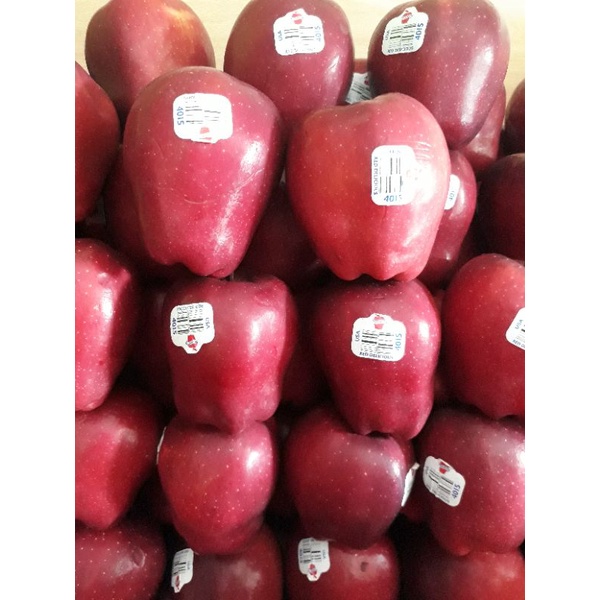 

Buah Apel Washington US ,free safety packing