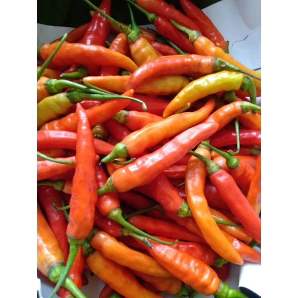 

Cabe Setan/Geprek Super [cabe Besar dan Panjang]1kg