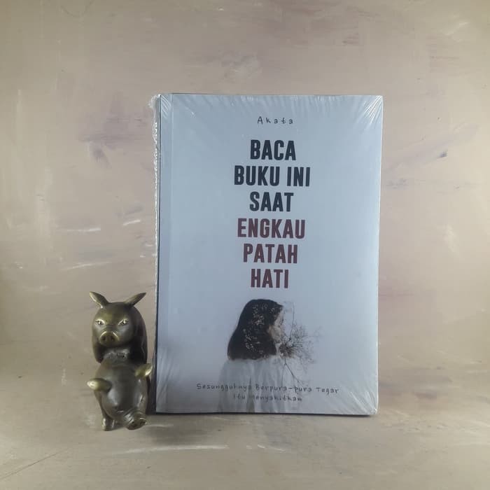 Baca Buku ini Saat engkau Patah Hati - Akata