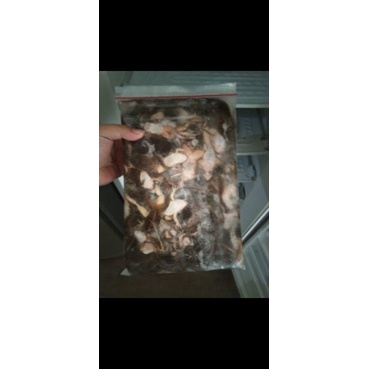 pakan ikan kodok sawah beku